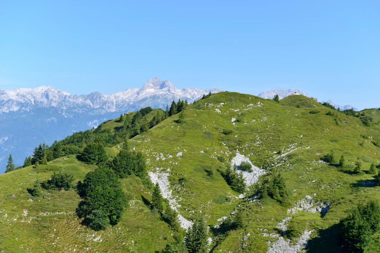 Holiday Home Davca Cerkno Ngoại thất bức ảnh
