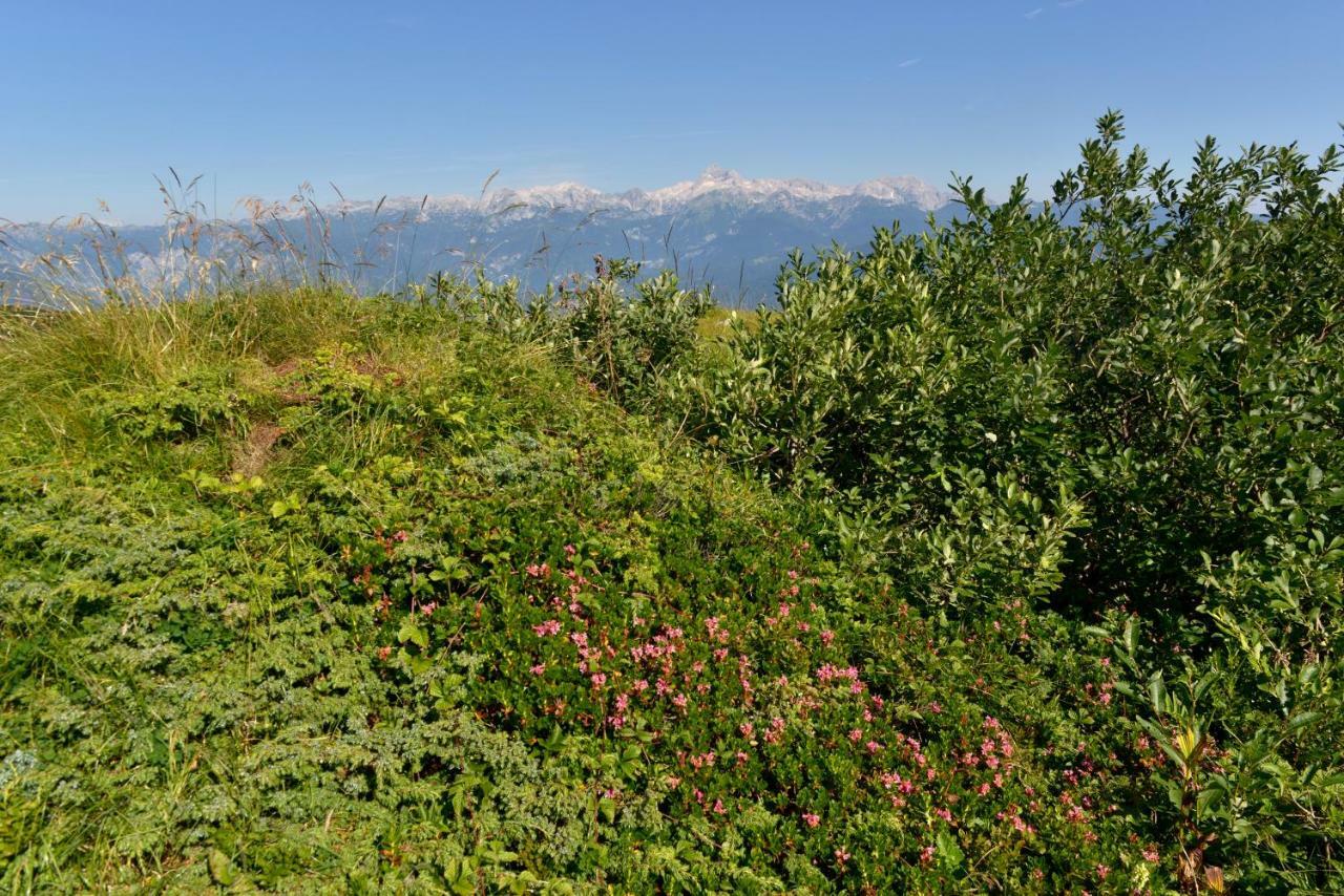 Holiday Home Davca Cerkno Ngoại thất bức ảnh