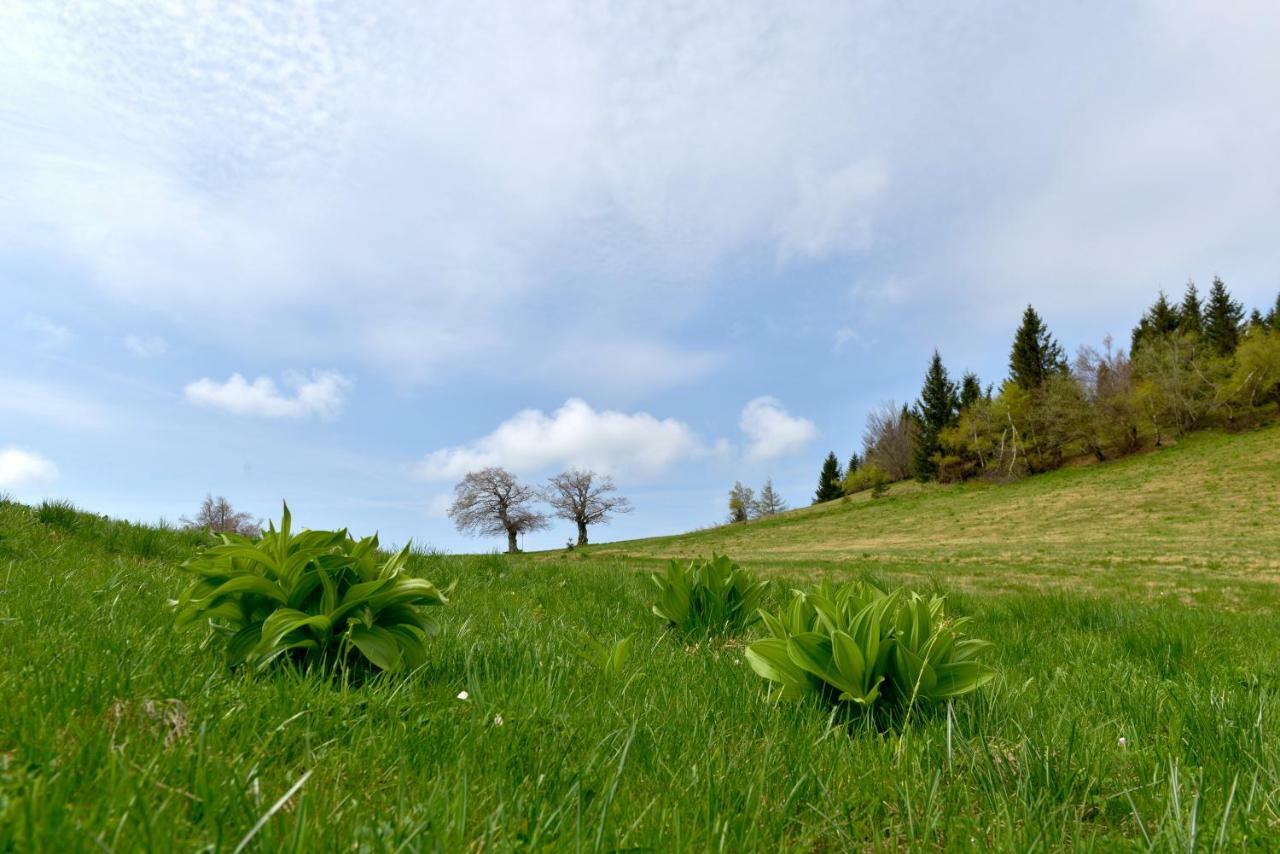 Holiday Home Davca Cerkno Ngoại thất bức ảnh